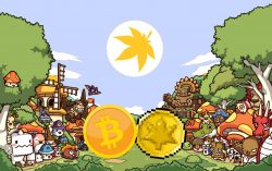 Maplestory Metaverse 1