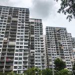 Lake Vista DBSS review