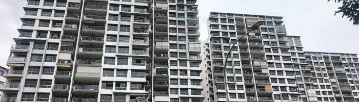 Lake Vista DBSS review