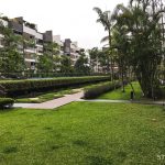 meadows at peirce green