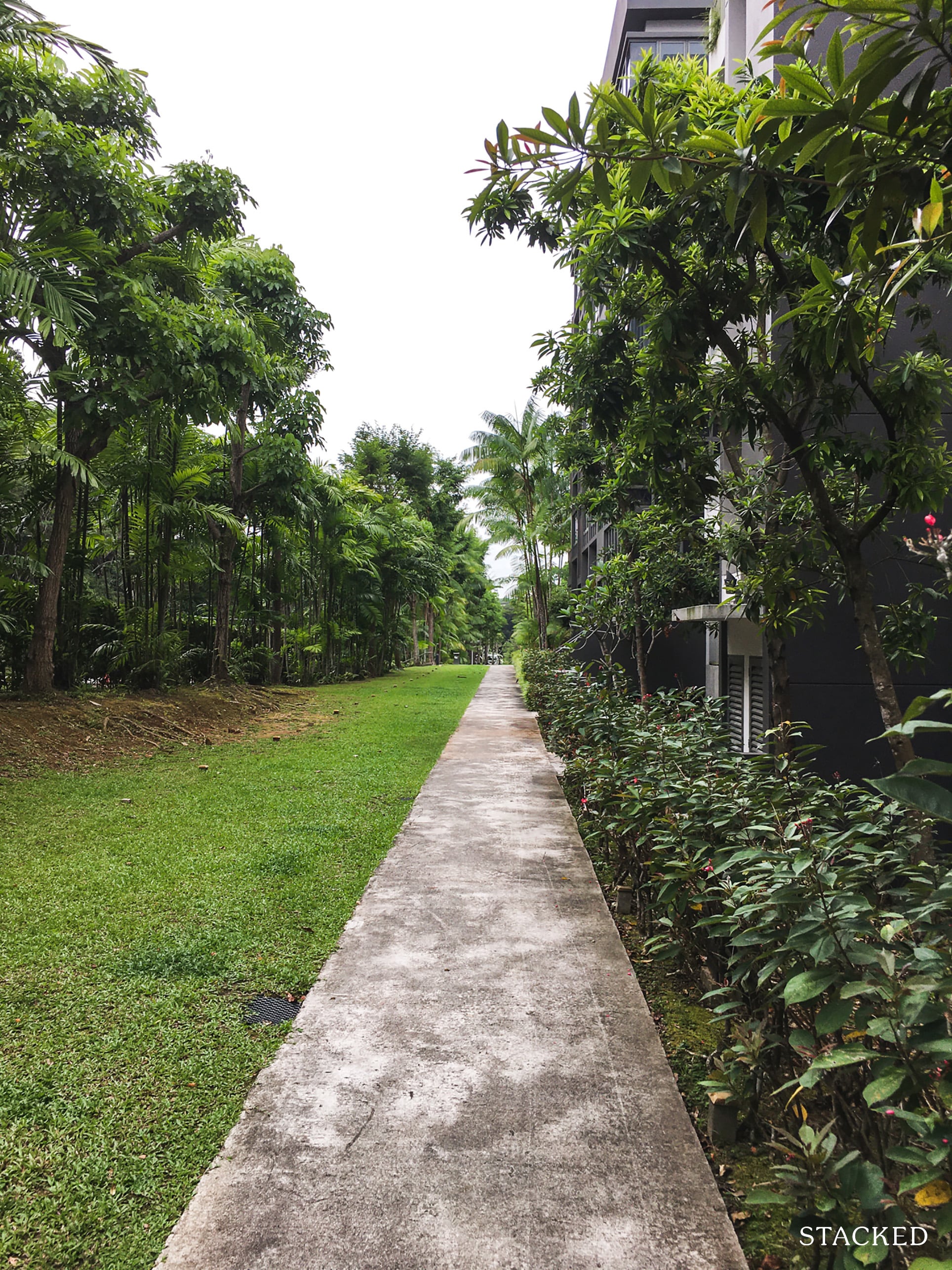 meadows at peirce path