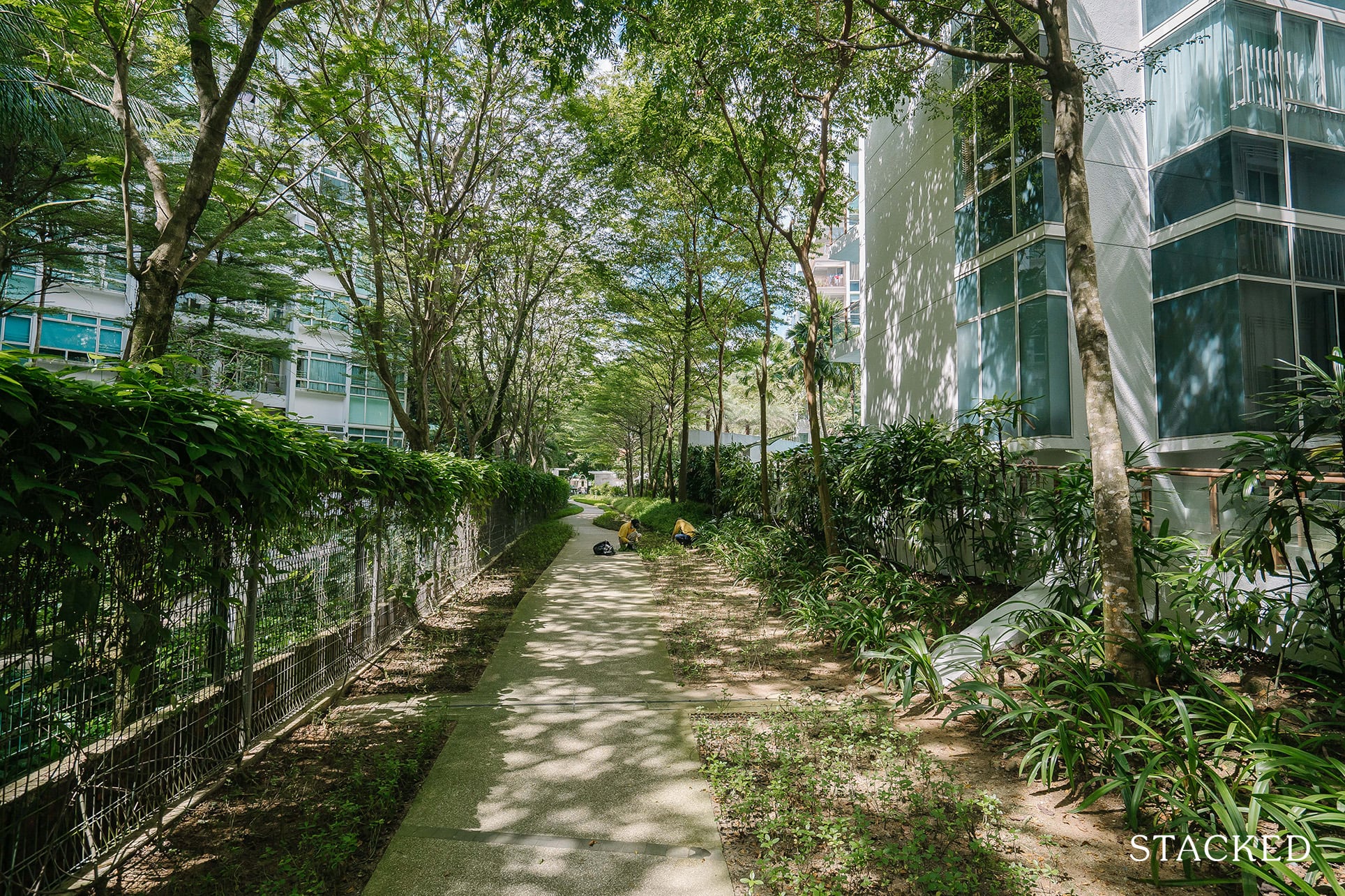 floridian condo path 6