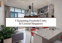 5 Surprising Freehold Units In Central Singapore 1