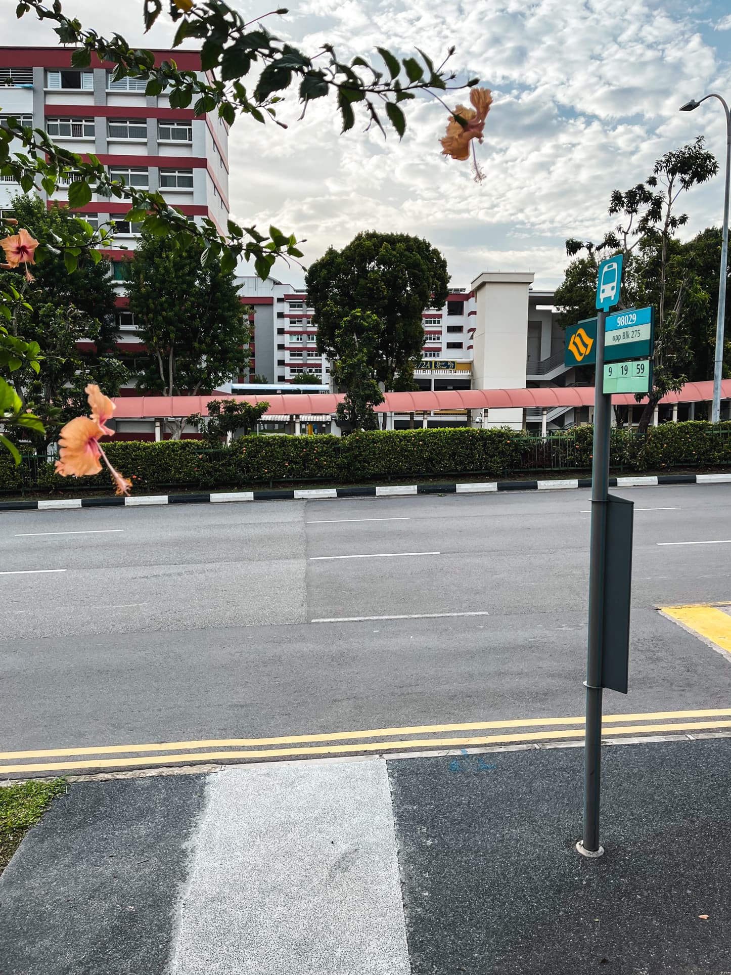 loyang villas bus stop