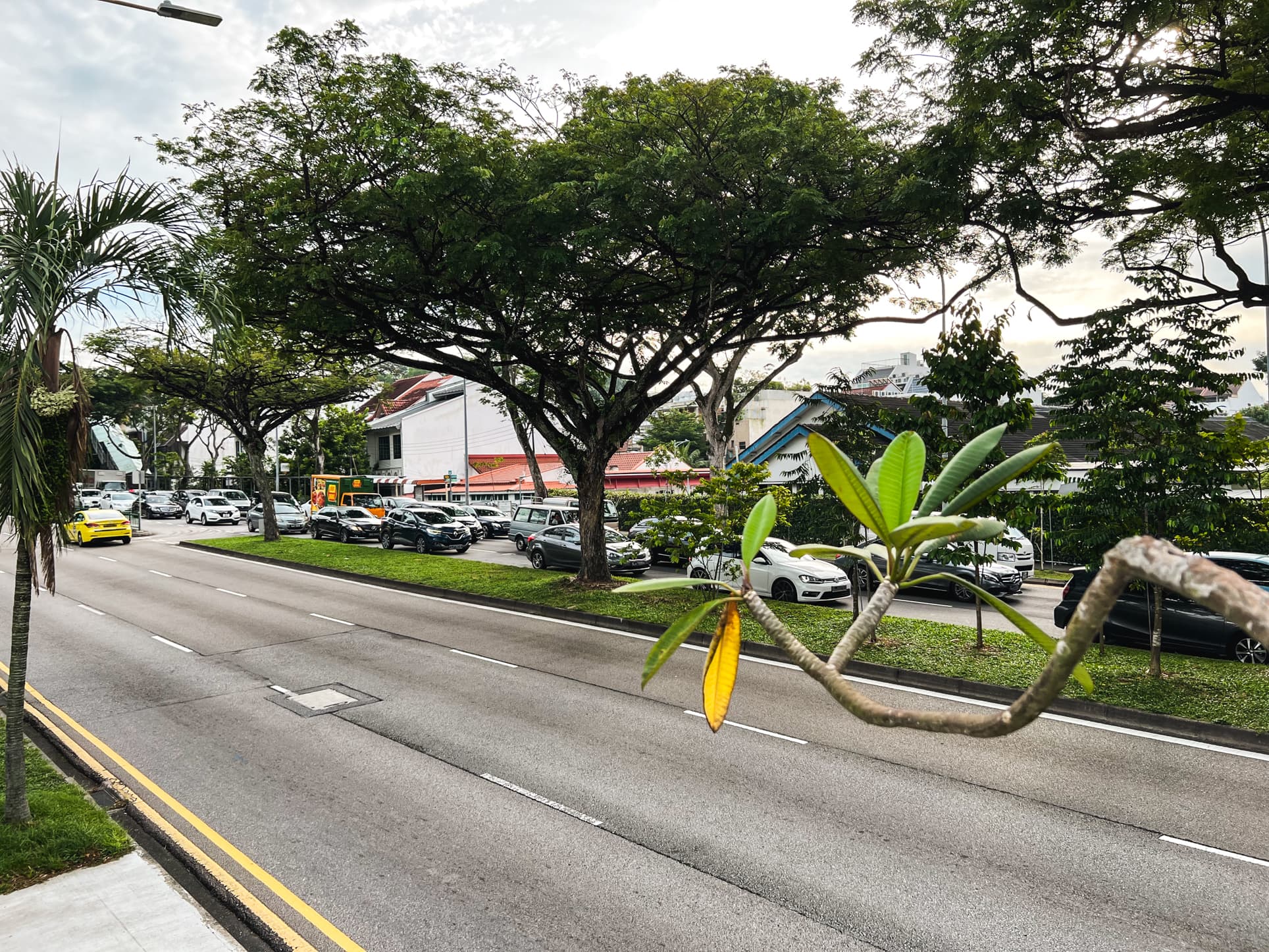 island country villas main road