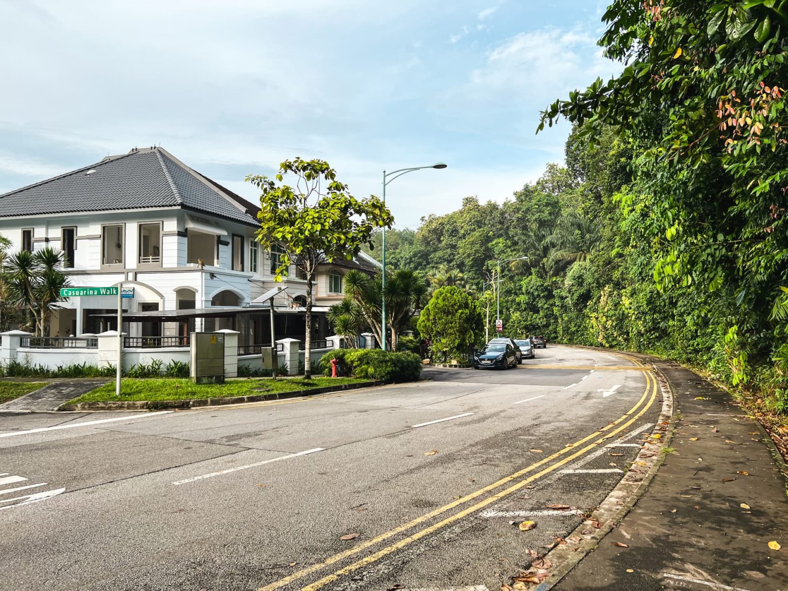 Touring Island Country Villas: Spacious Landed Living Next To A Lush Forest (And Monkeys) For About $2.6 Million