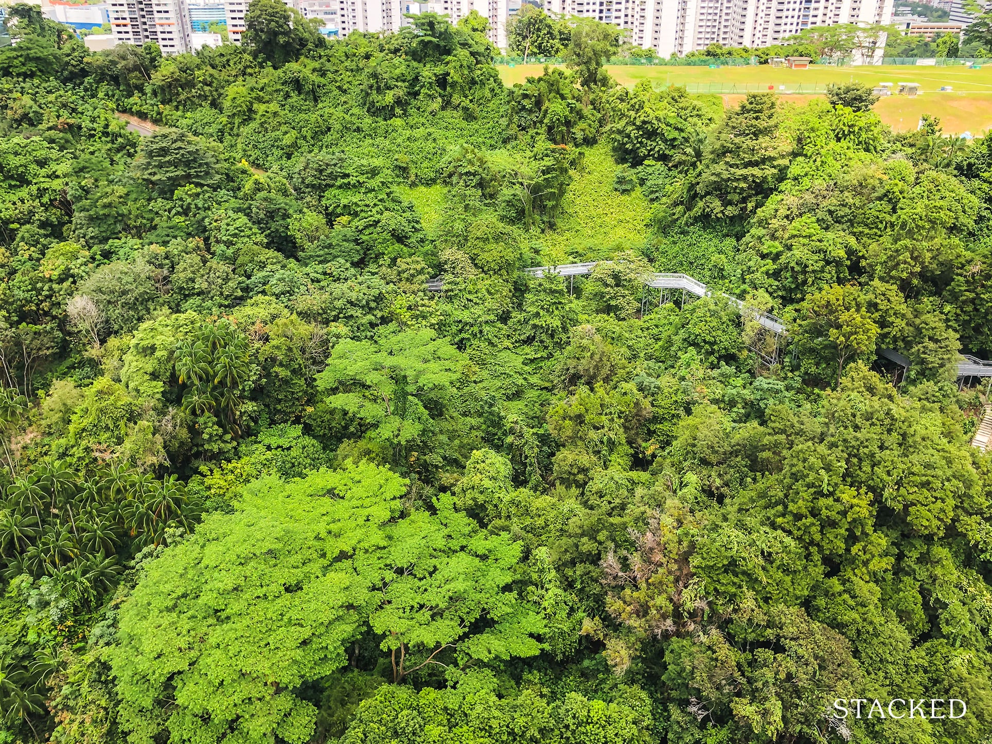 Telok Blangah Parcview greenery