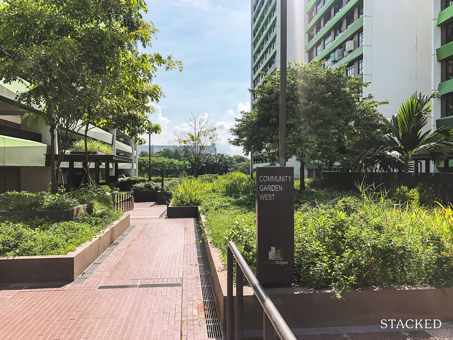 Tampines GreenRidges 146 community garden west