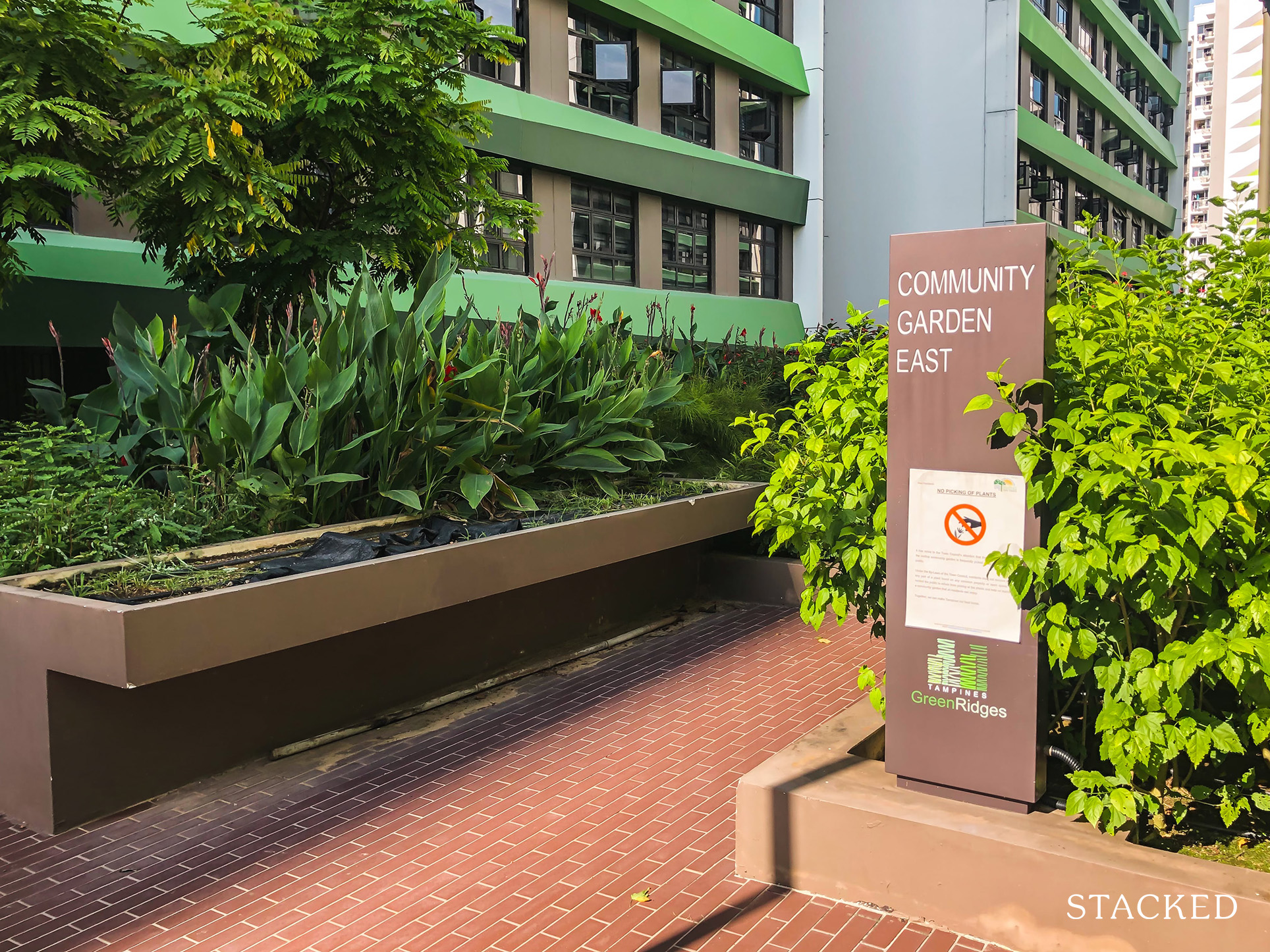 Tampines GreenRidges 153 community garden east