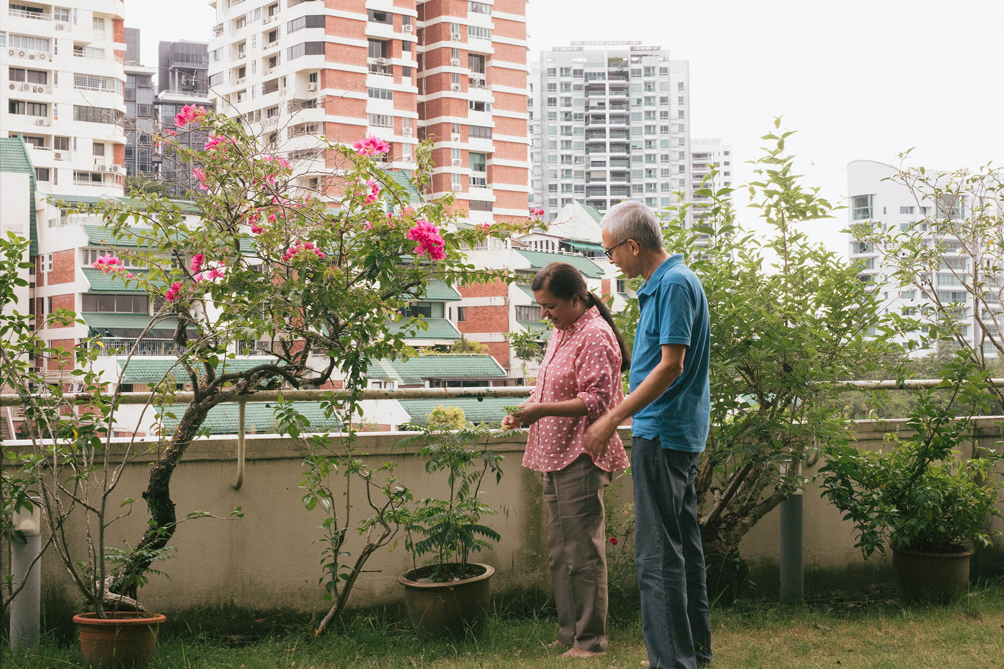 Pandan Valley Balcony Garden