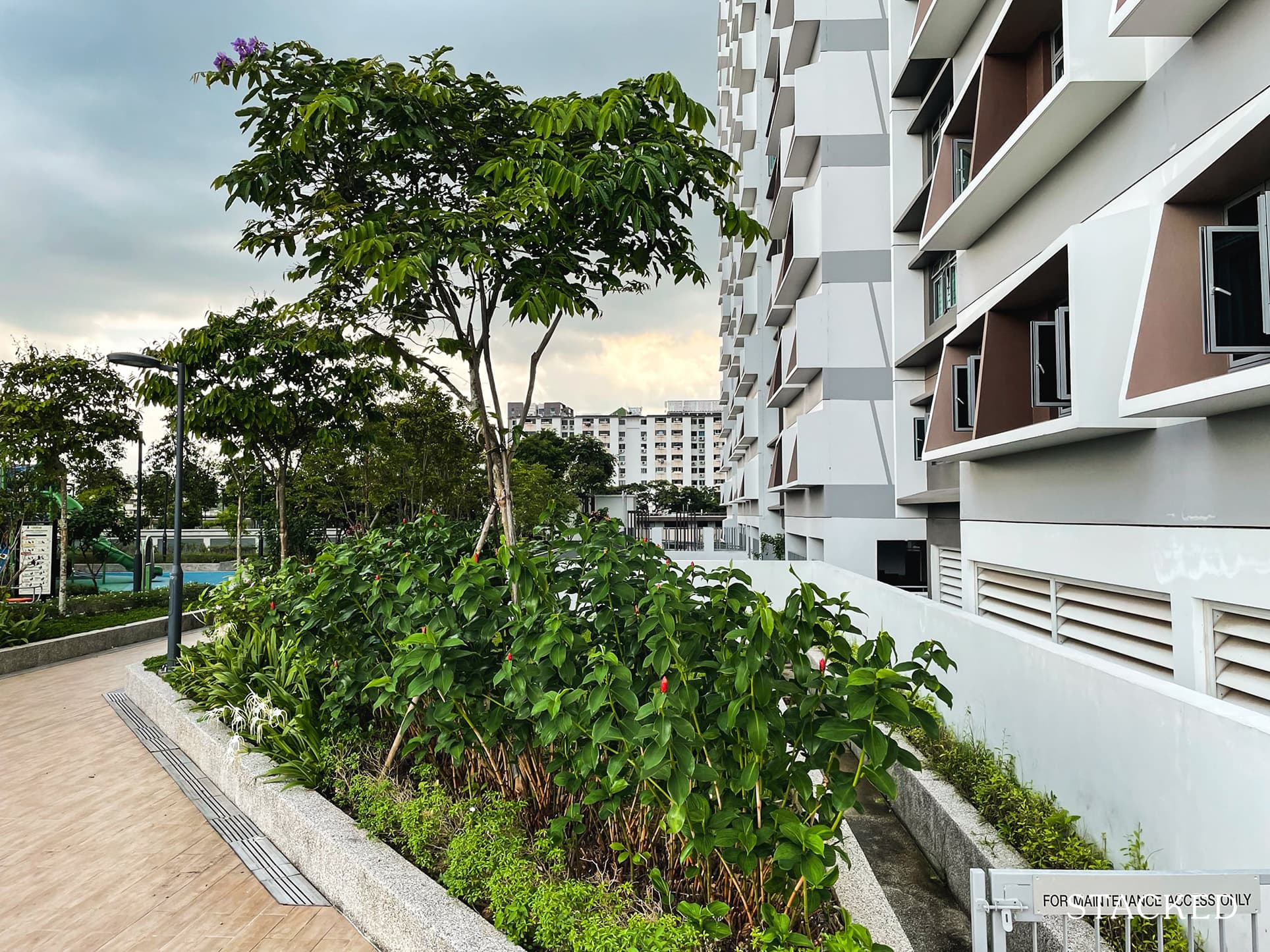 Hougang RiverCourt rooftop garden