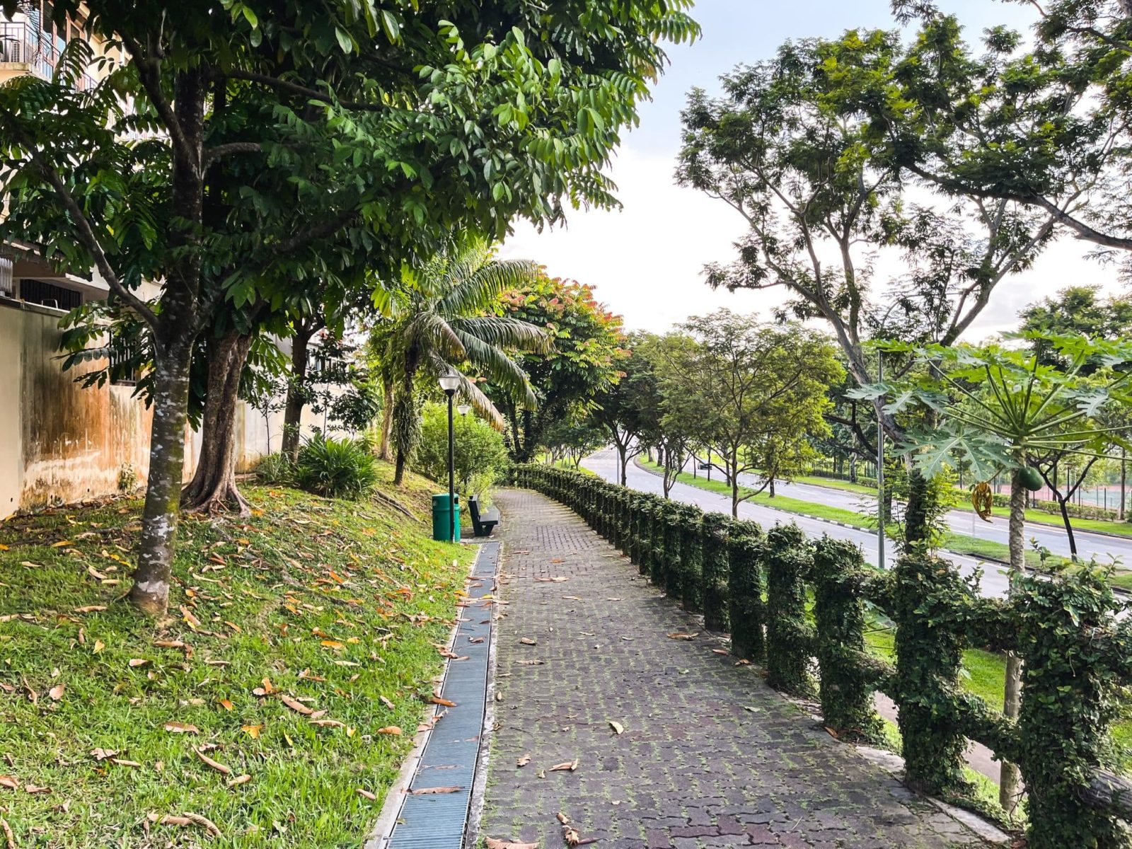 Touring Pavilion Park More Affordable Freehold Landed Living With