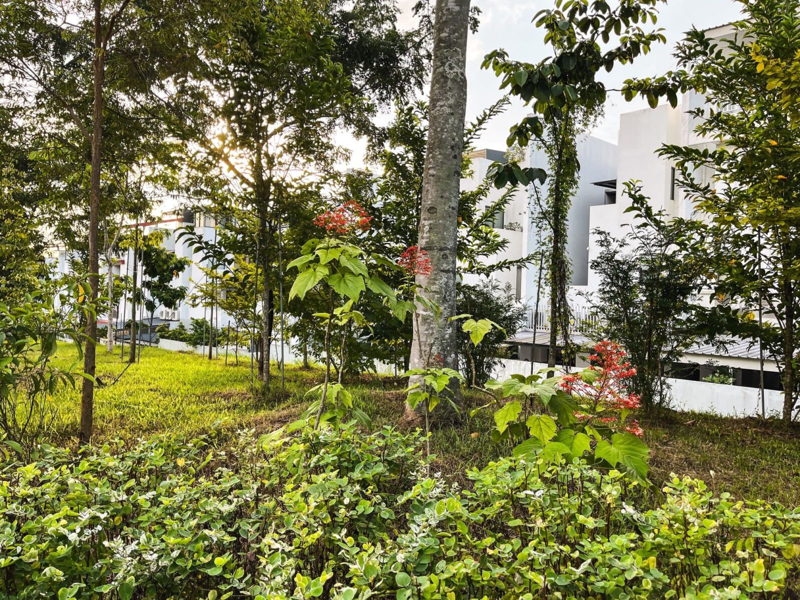 Touring Pavilion Park More Affordable Freehold Landed Living With