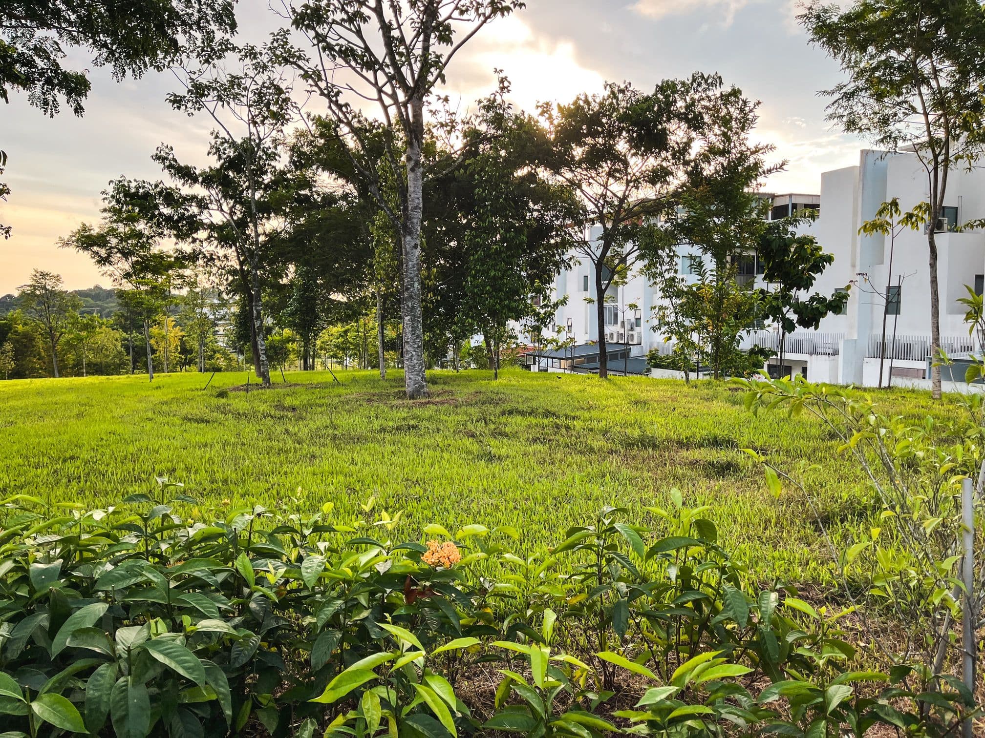 pavilion park landed greenery