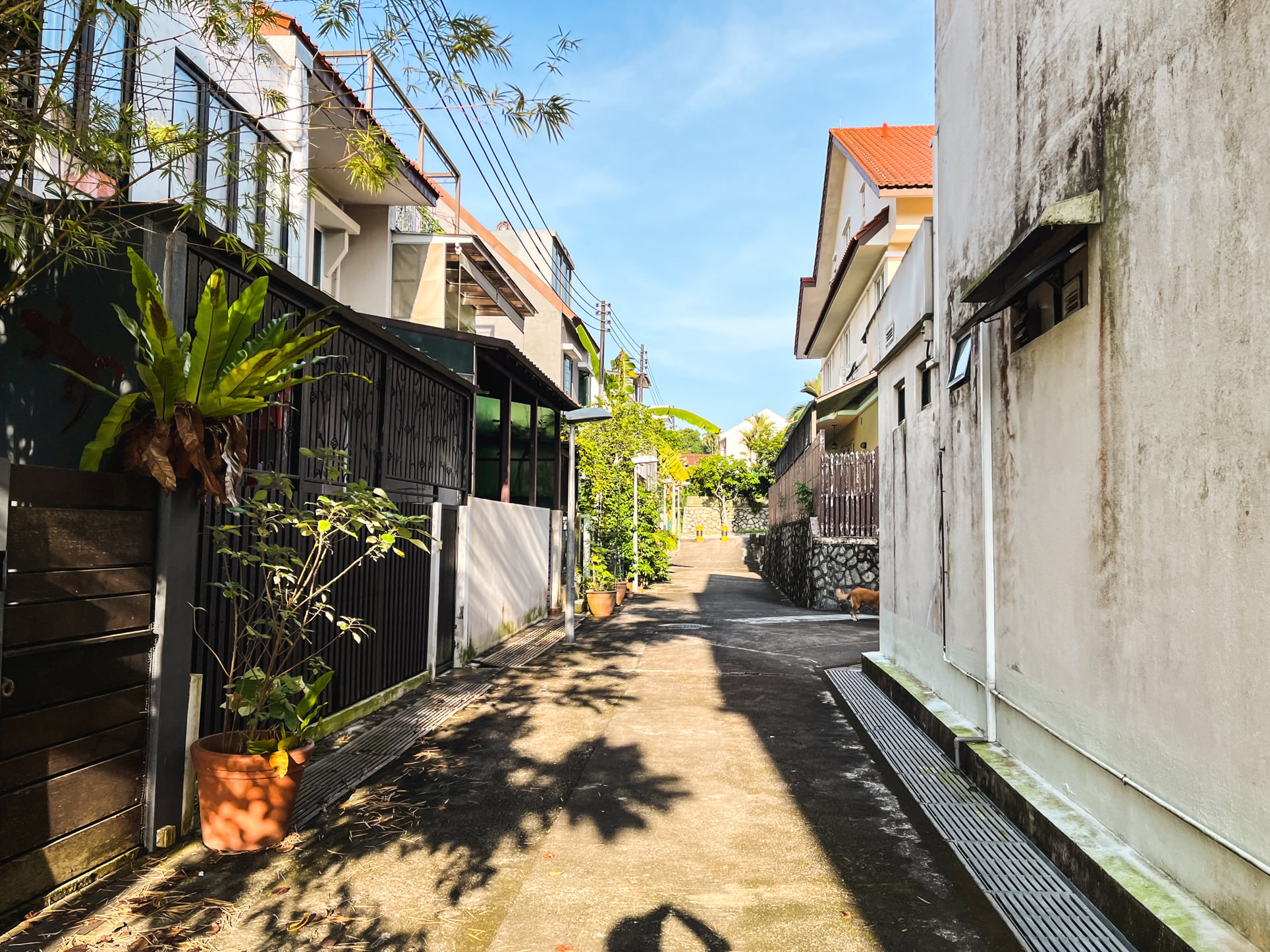 windsor park estate alley