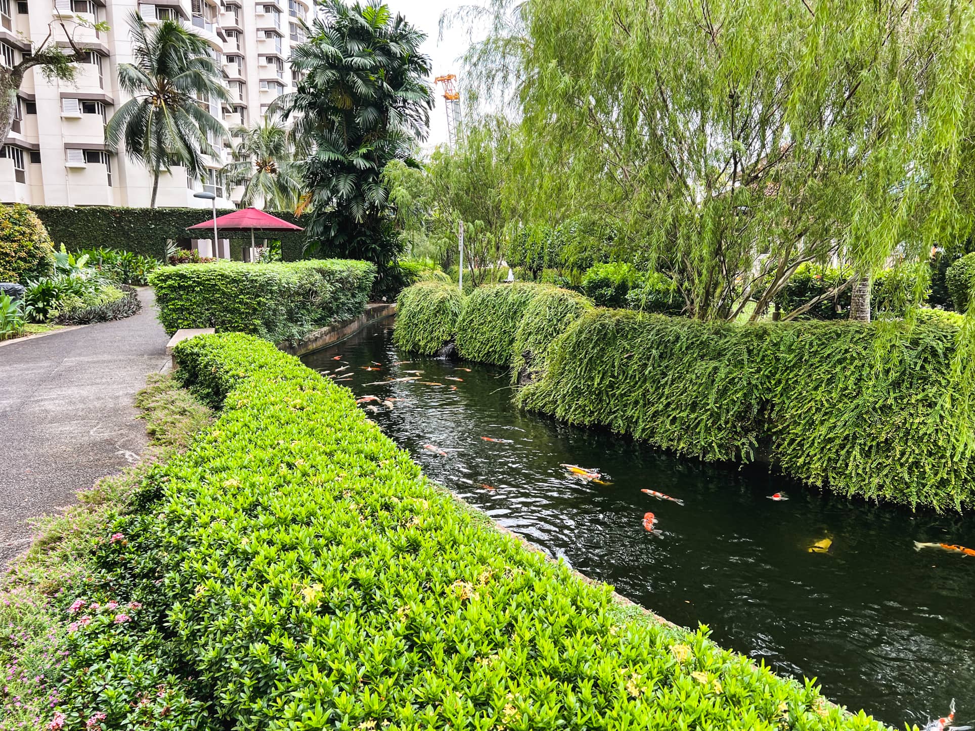 bullion park pond