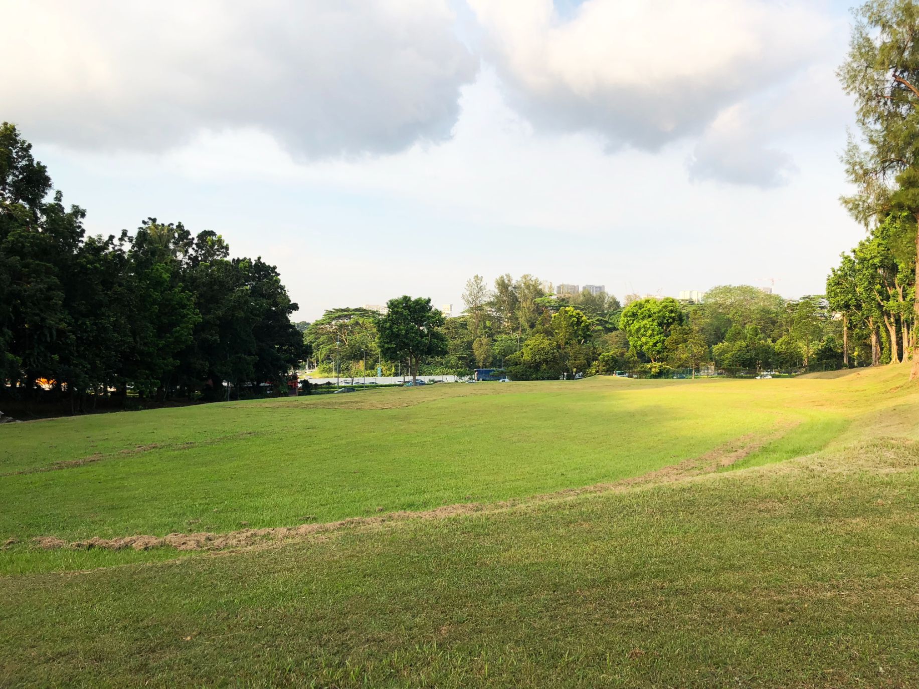 normanton park Field