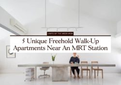 5 Unique Freehold Walk Up Apartments Near An MRT Station