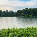 westlake gardens landed estate lake 3