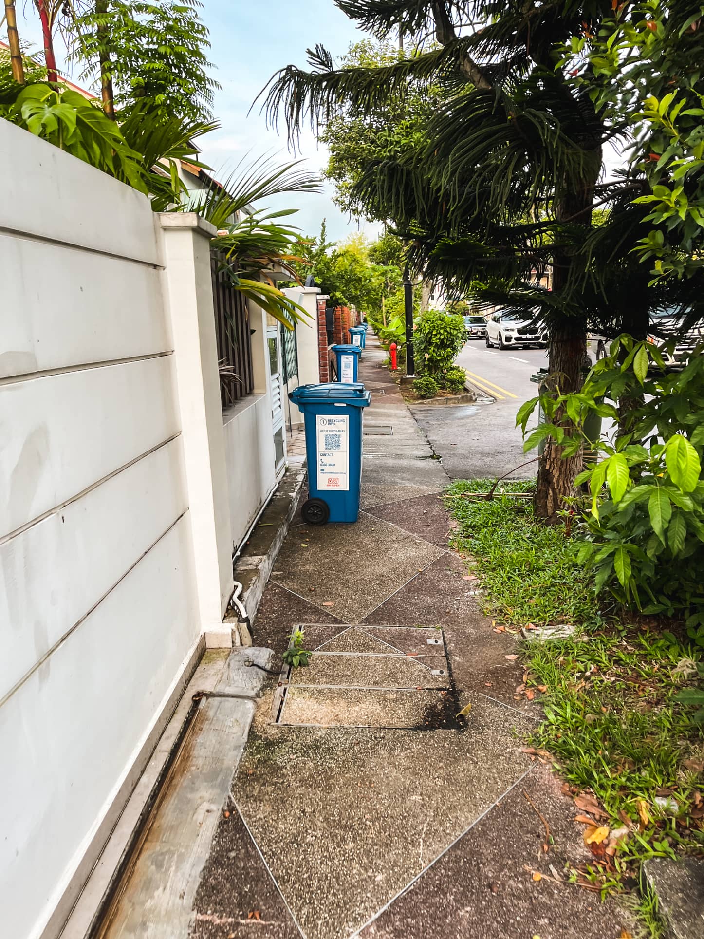 braddell heights estate bin