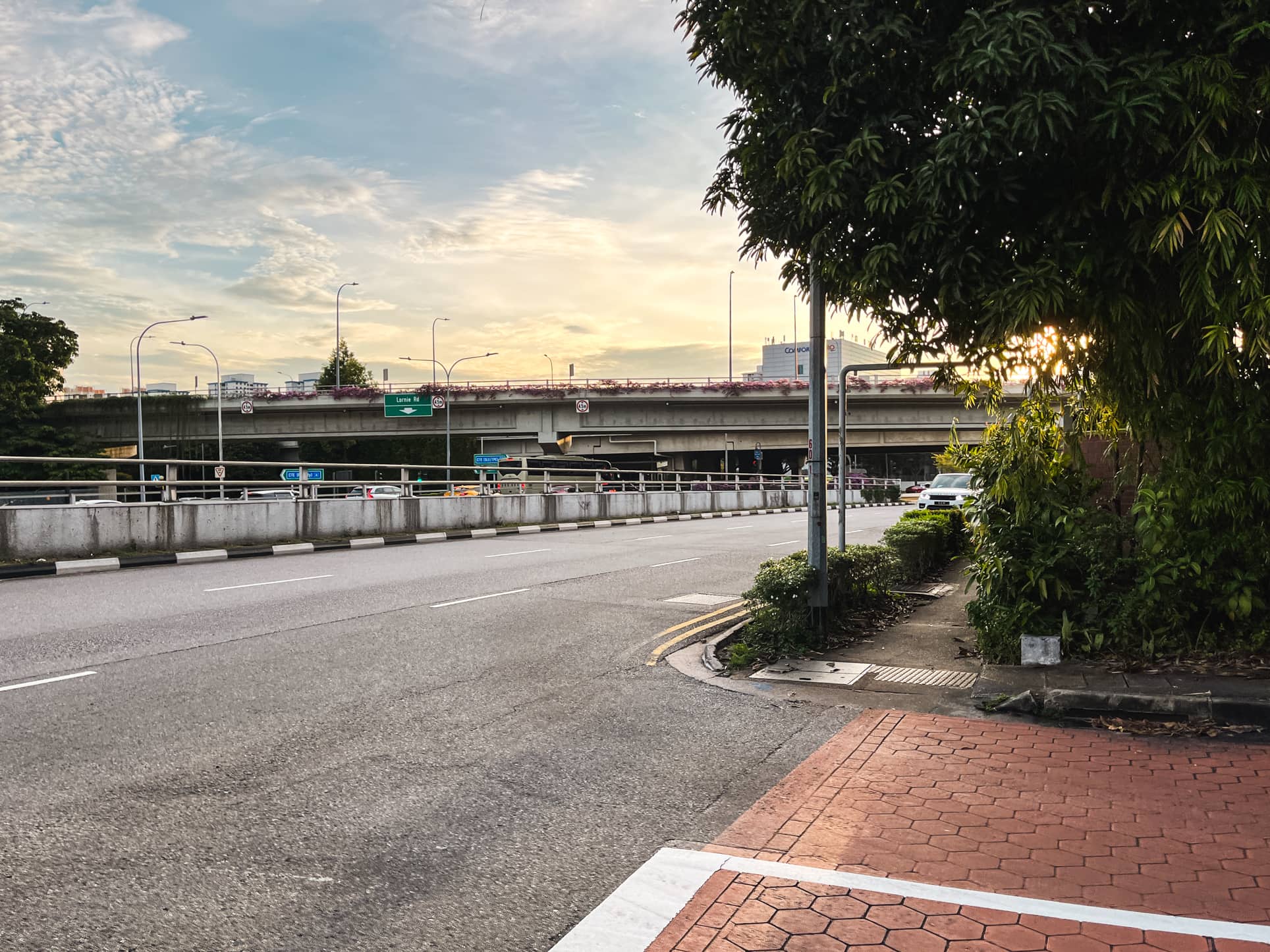 braddell heights estate main road 1