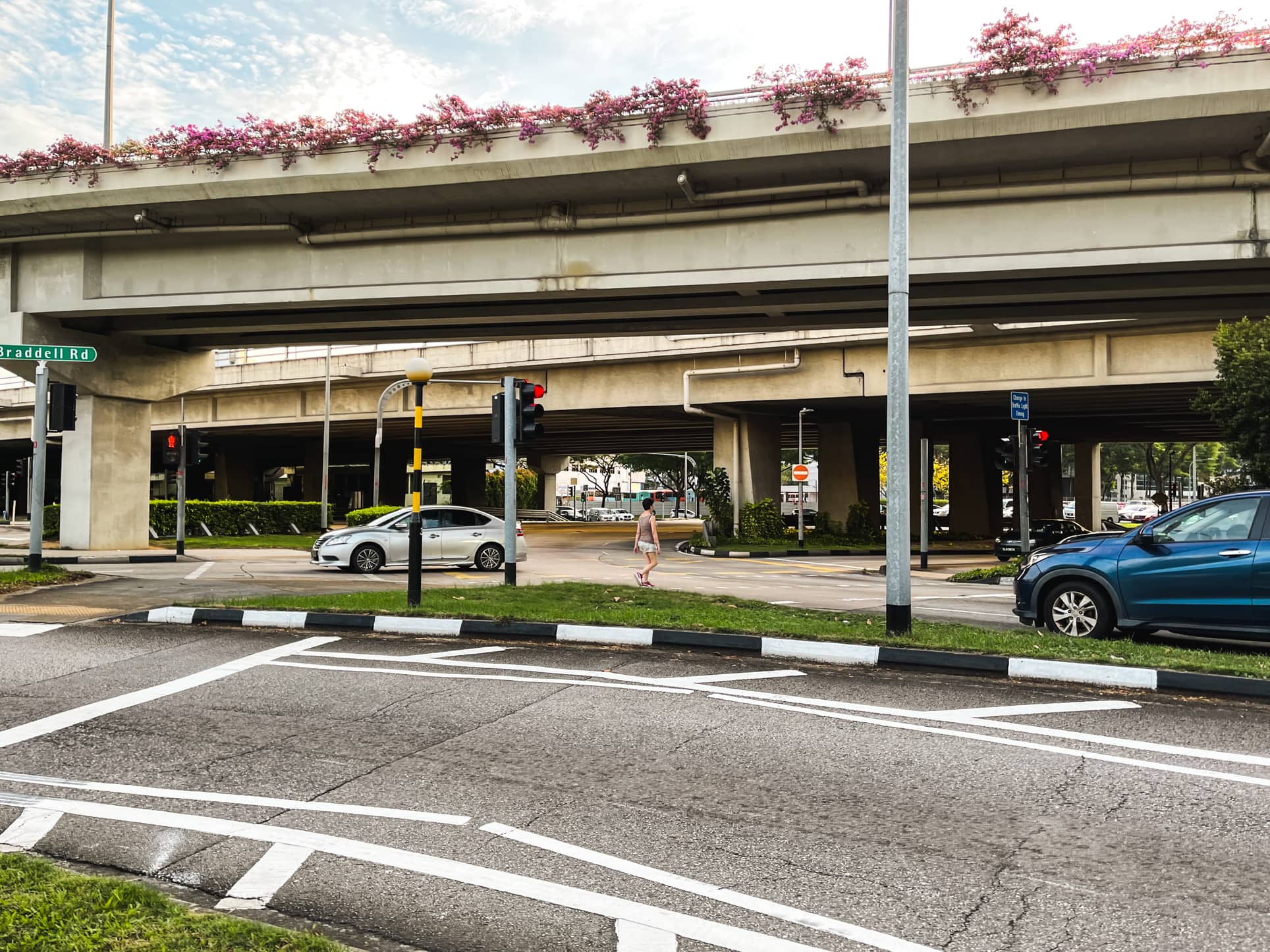 braddell heights estate highway