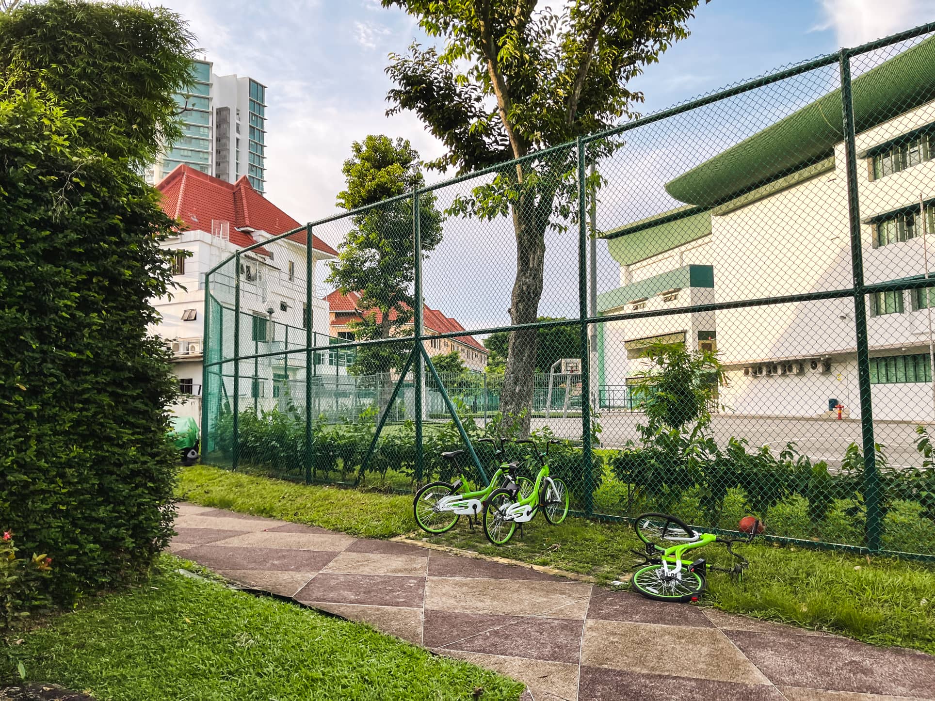 braddell heights estate school