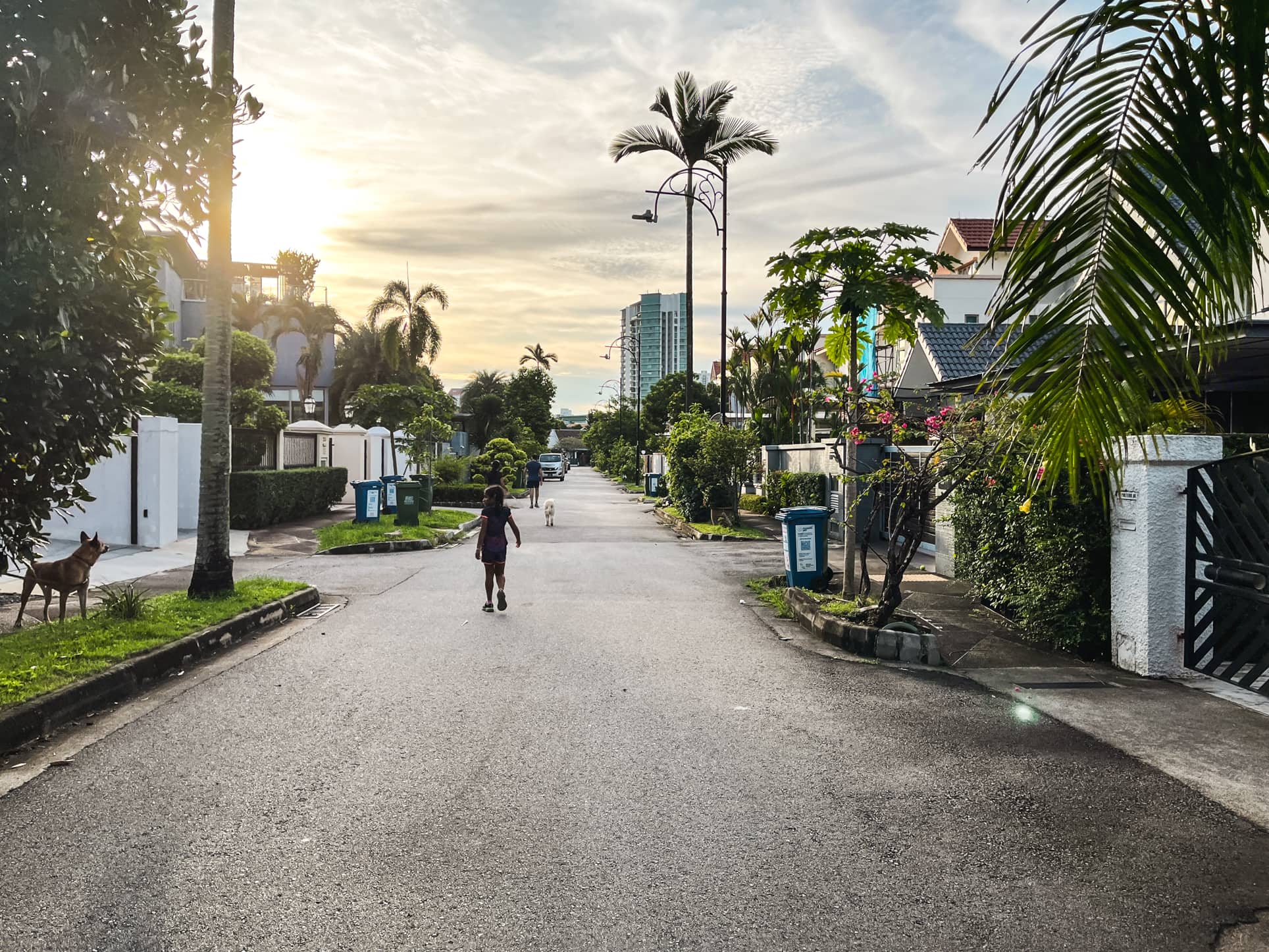 braddell heights estate road 1