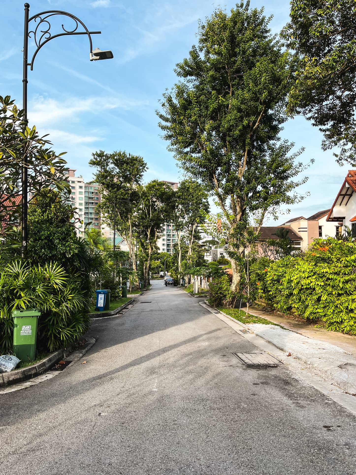 braddell heights estate road 2