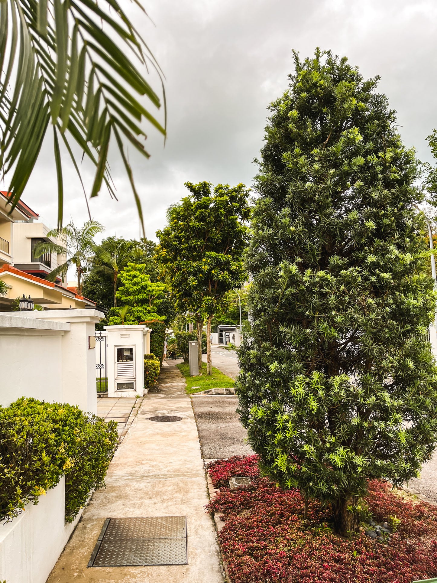 elliot landed estate tree