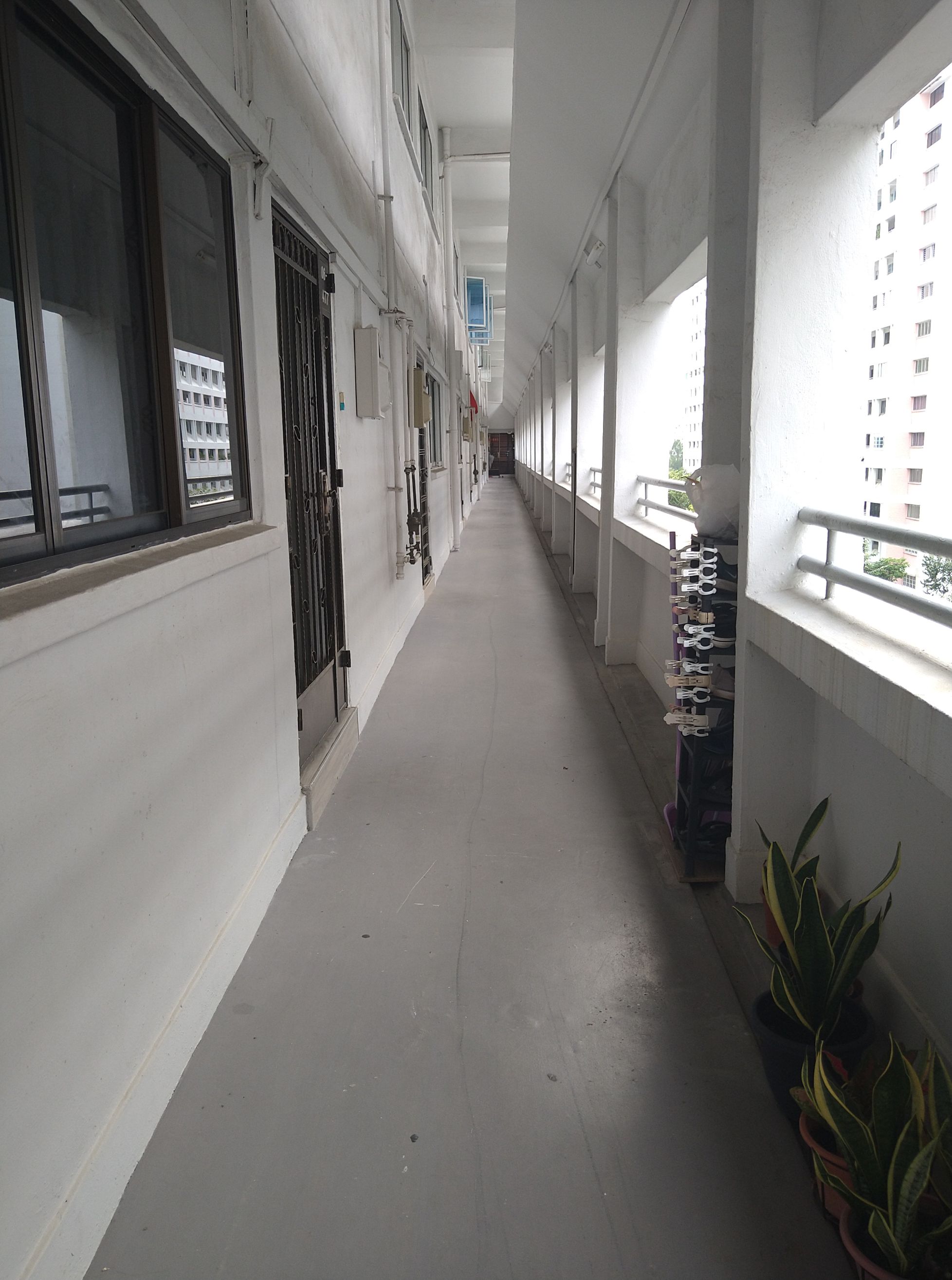 Old Style Common Corridors Our Floor is Clean and Empty Some Floors There is a Jungle of Potted Plants 2