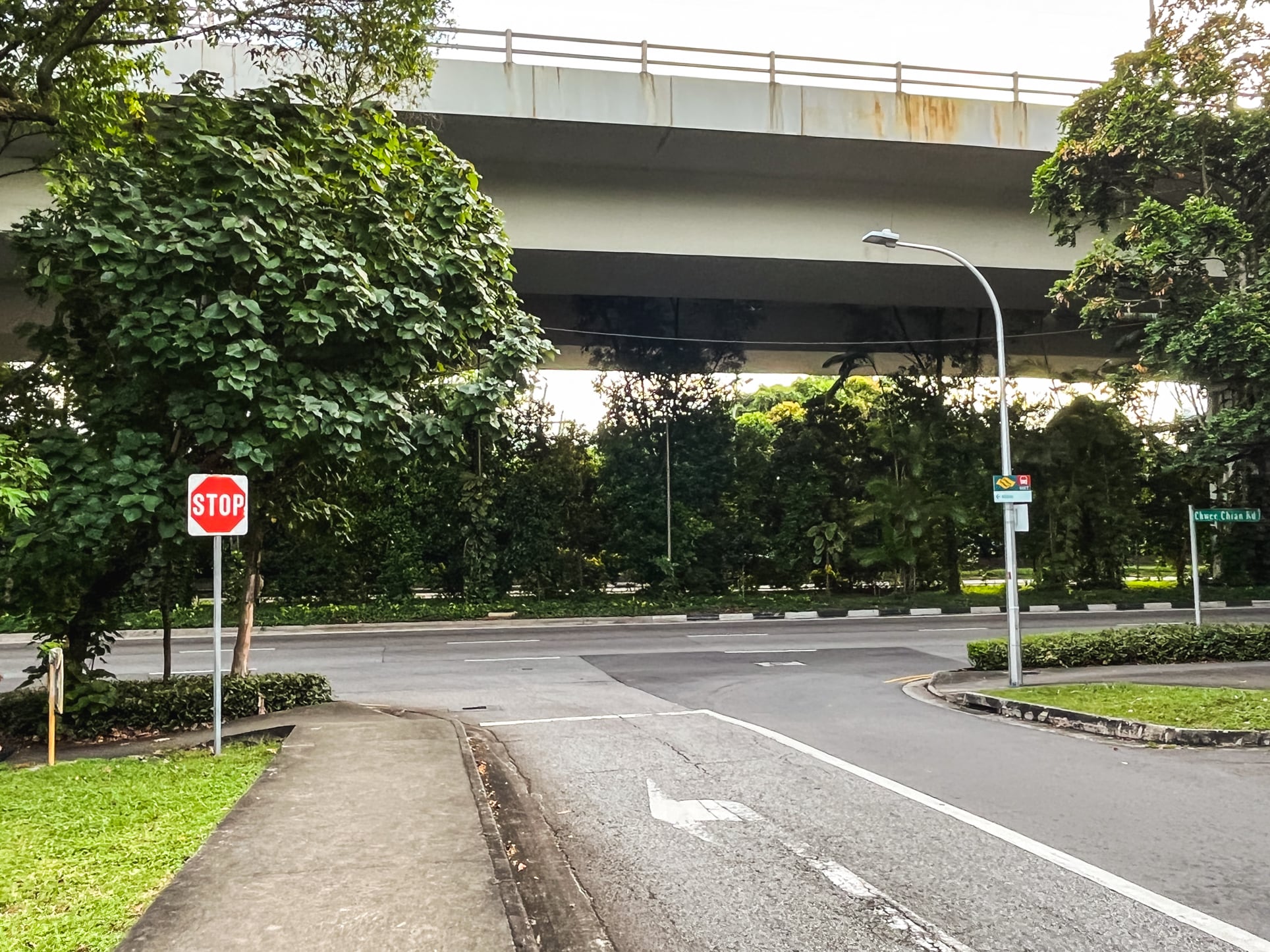 chwee chian landed flyover