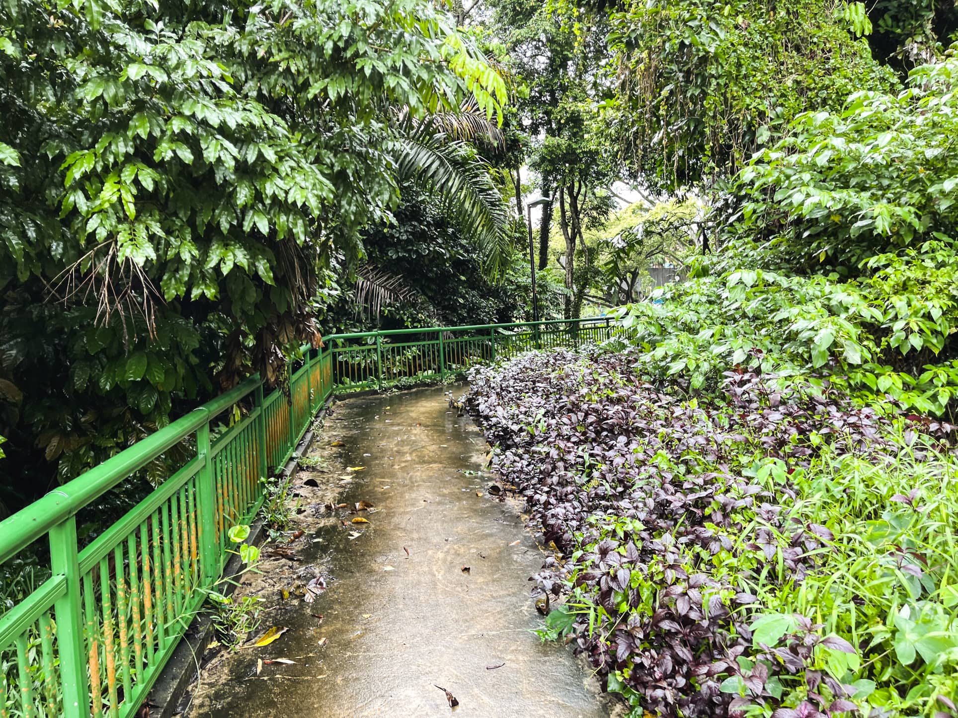 ming teck park path 2