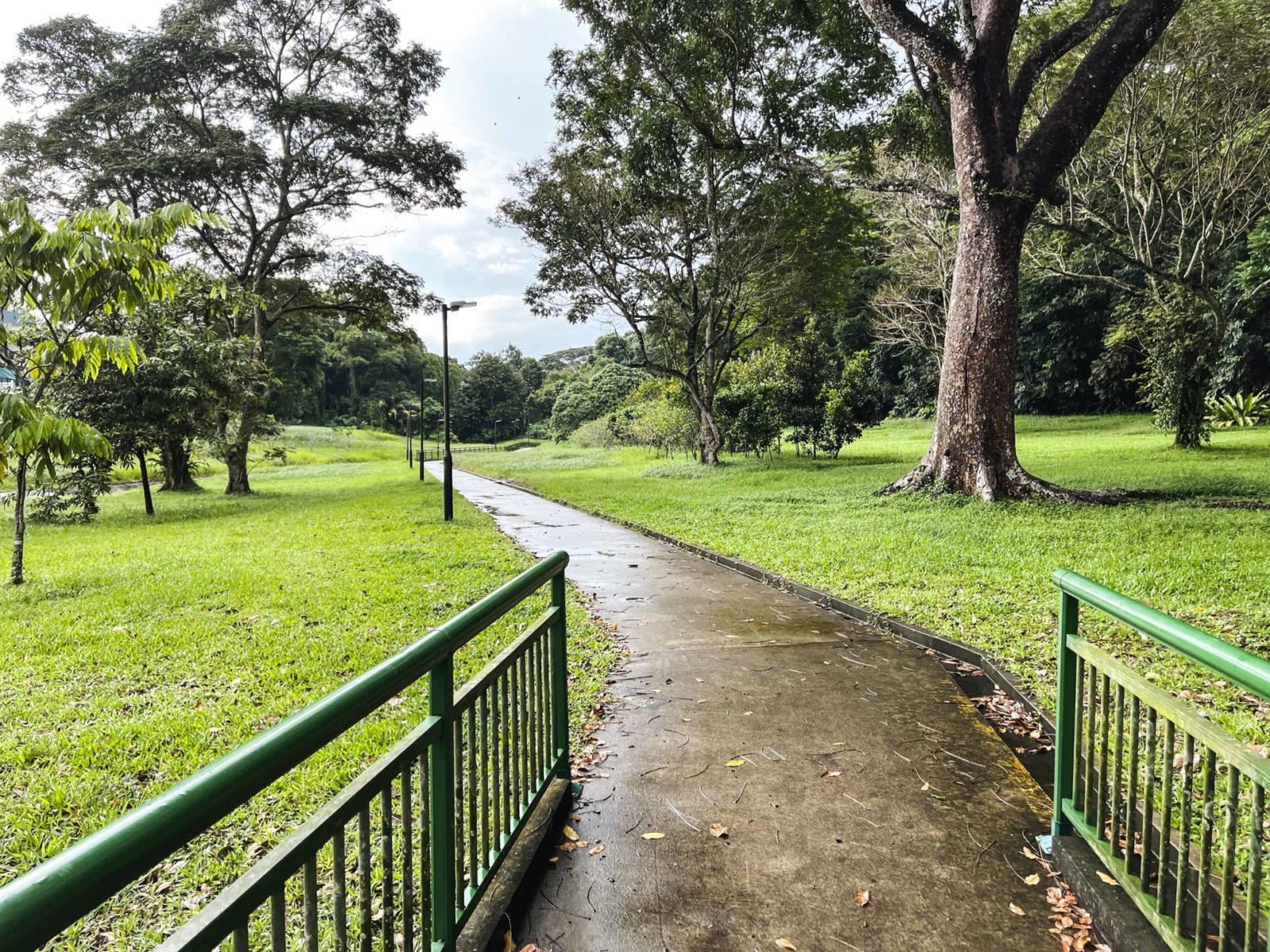 ming teck park path