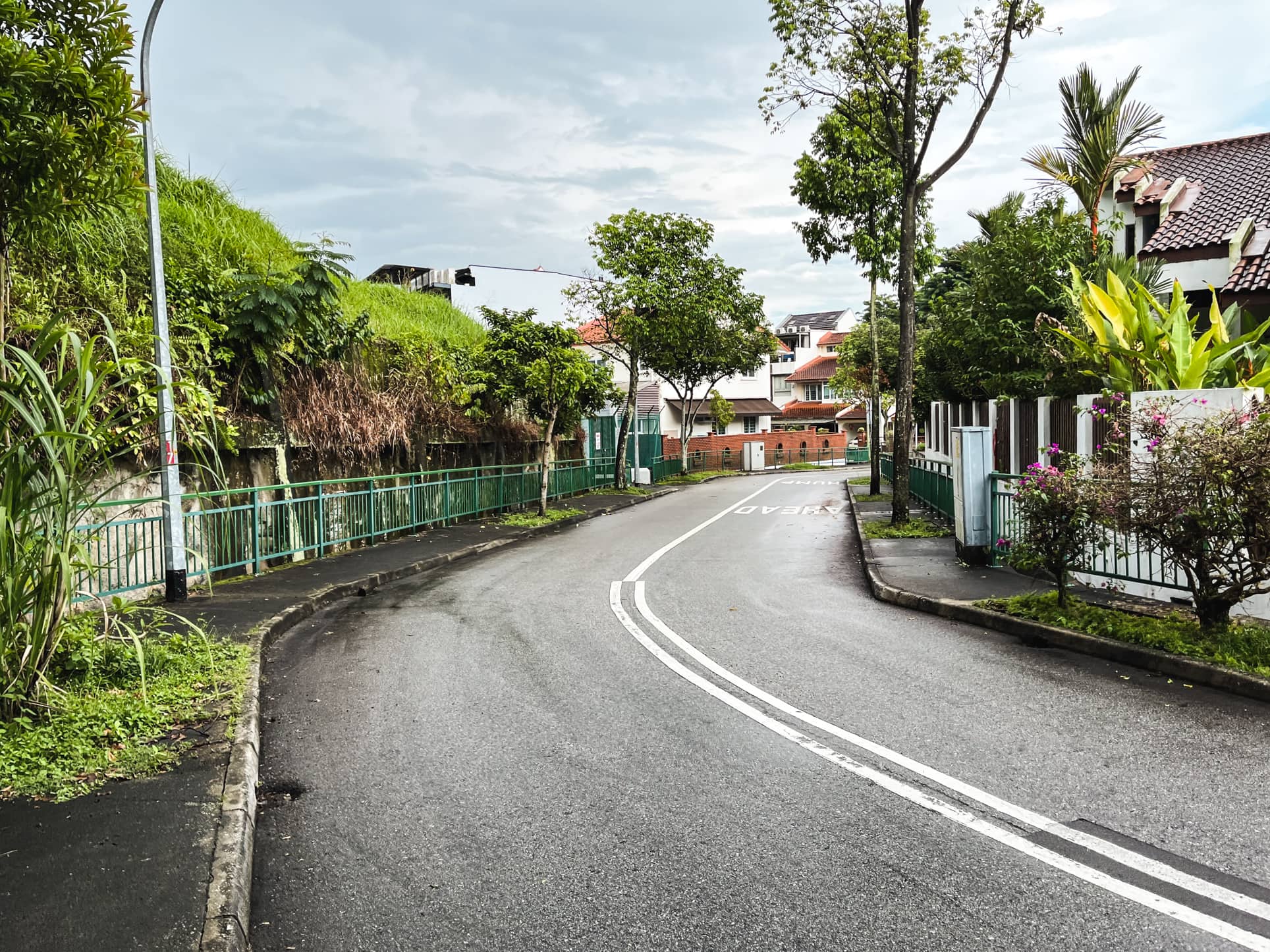 ming teck park curve