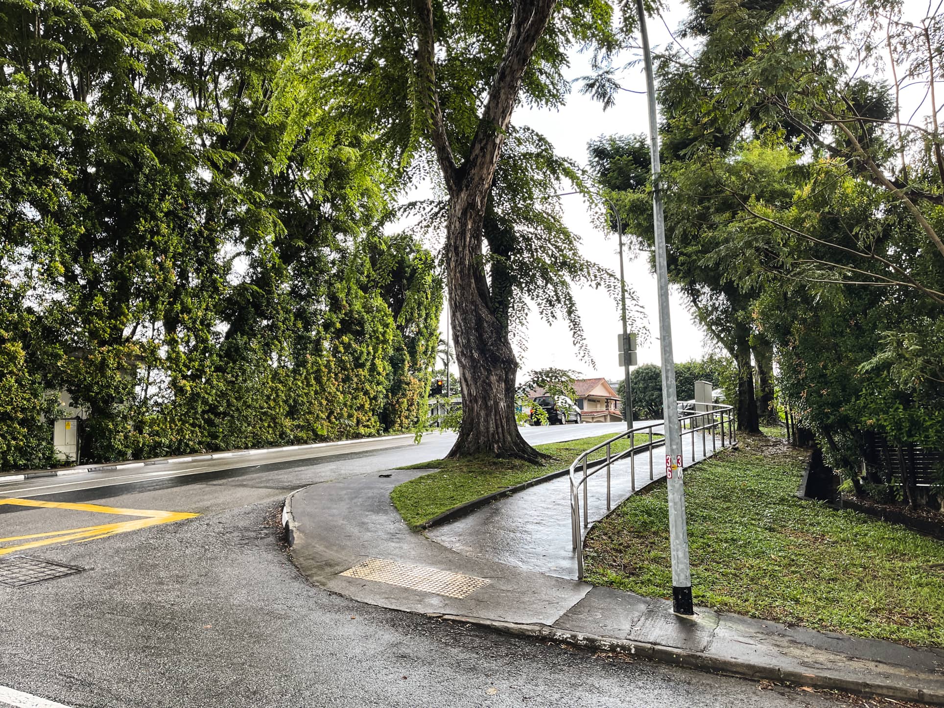 ming teck park tree