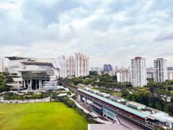 HDBs Buona Vista Area