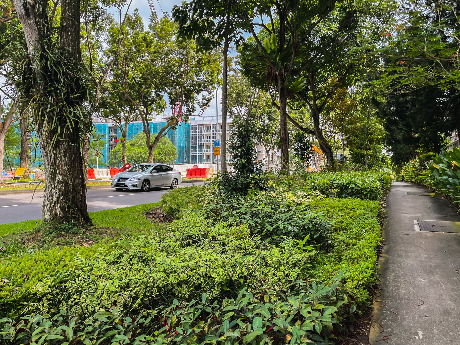 jurong park estate green 1