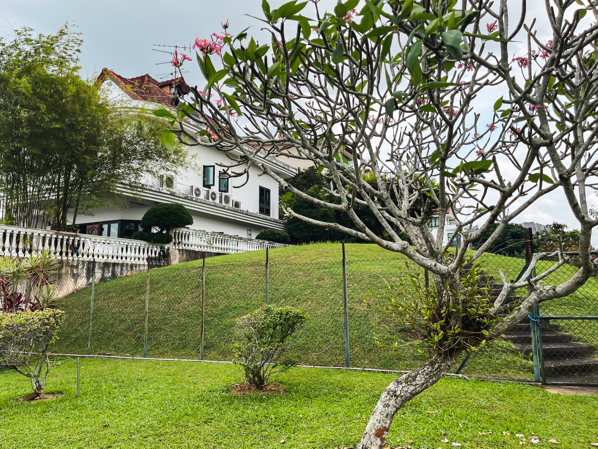 jurong park estate field