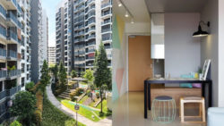 Touring A Colourful 4 Room Home With 2 Balconies At Belvia DBSS