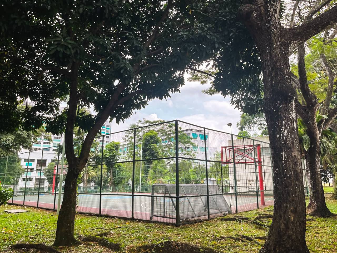 cashew heights basketball court