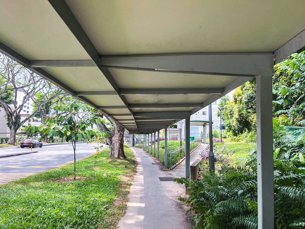 cashew heights shelter path