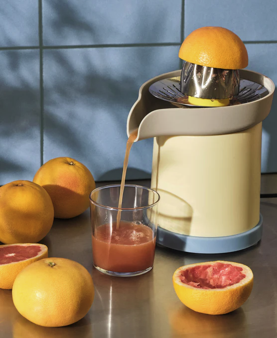 sowden juicer