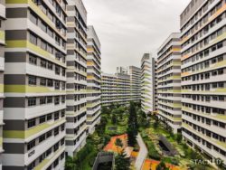 Tampines GreenVerge 212 blocks