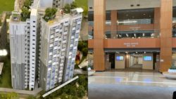 hdb bto dakota crest 3 room flat