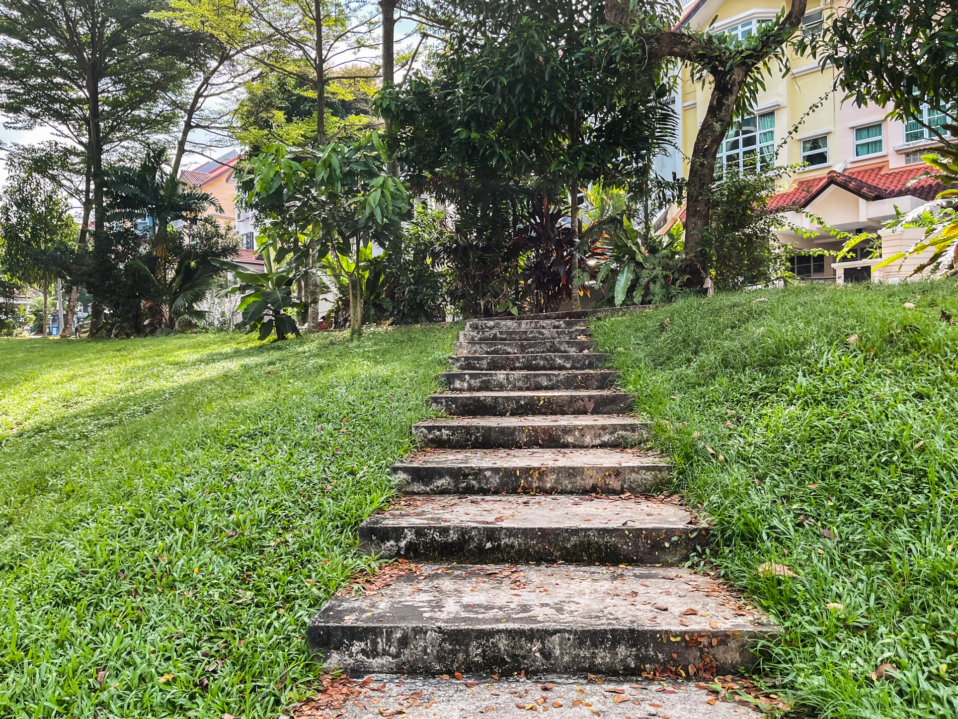 century woods steps