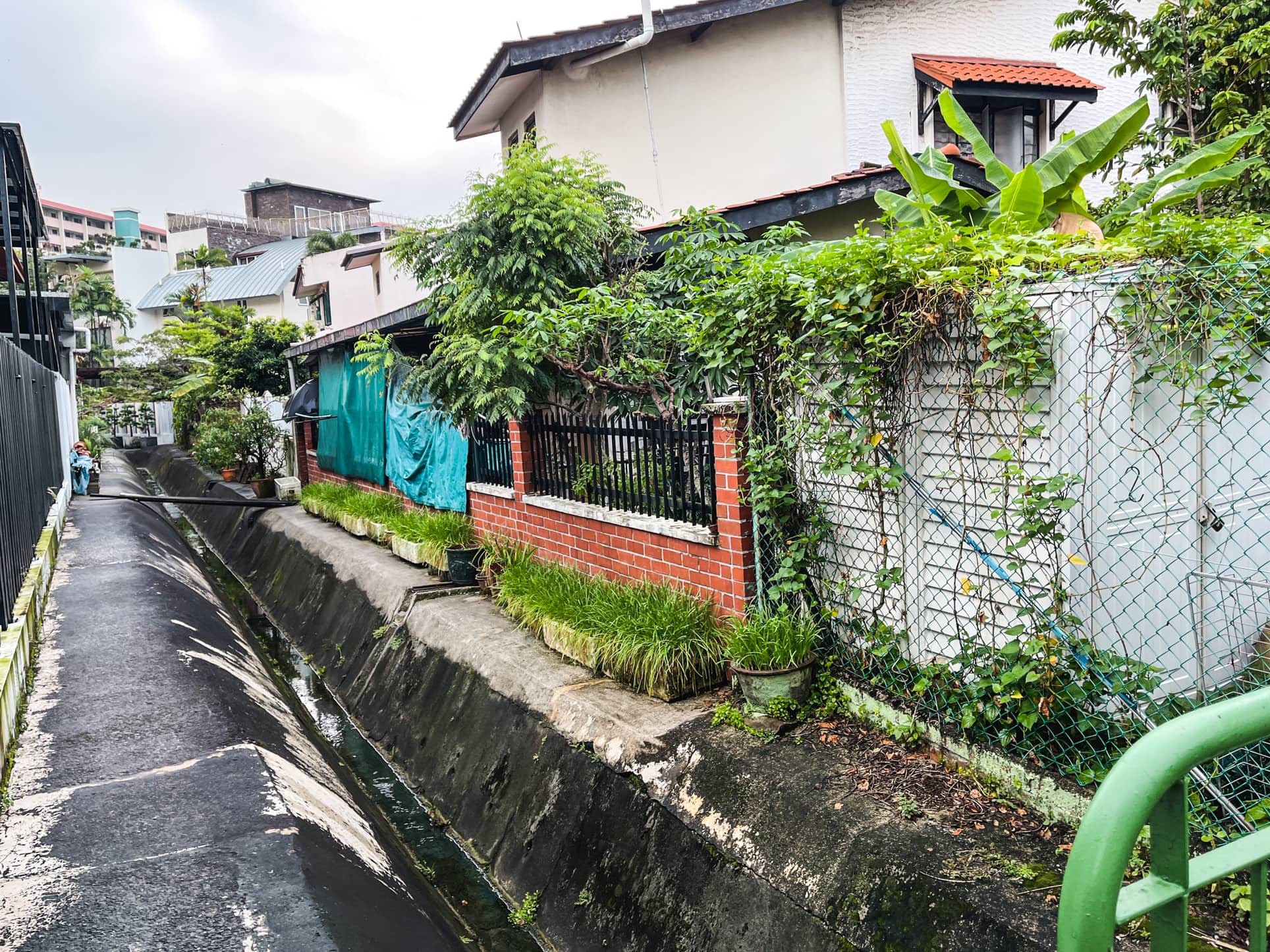 jalan mas kuning drain