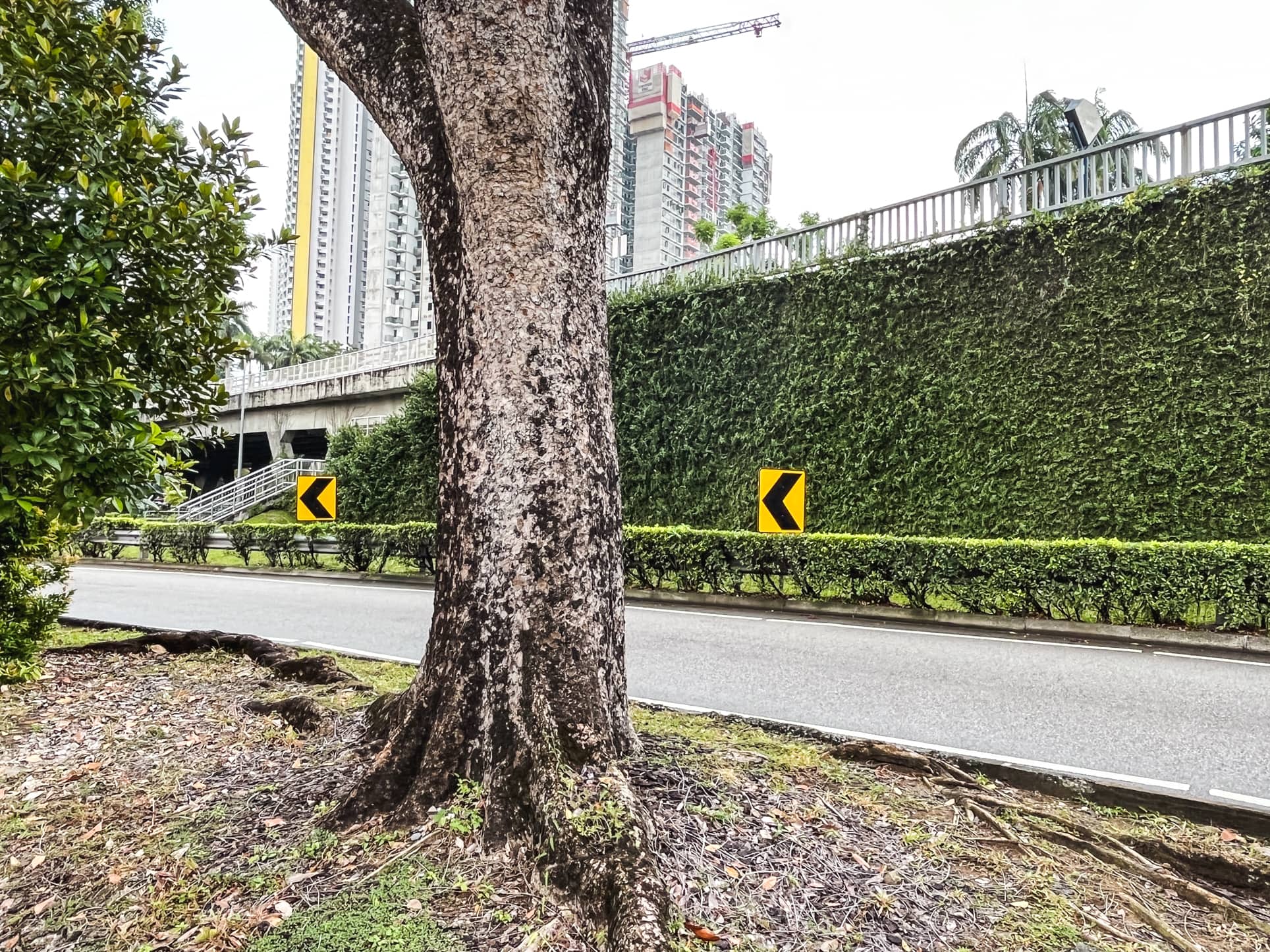 jalan mas kuning highway