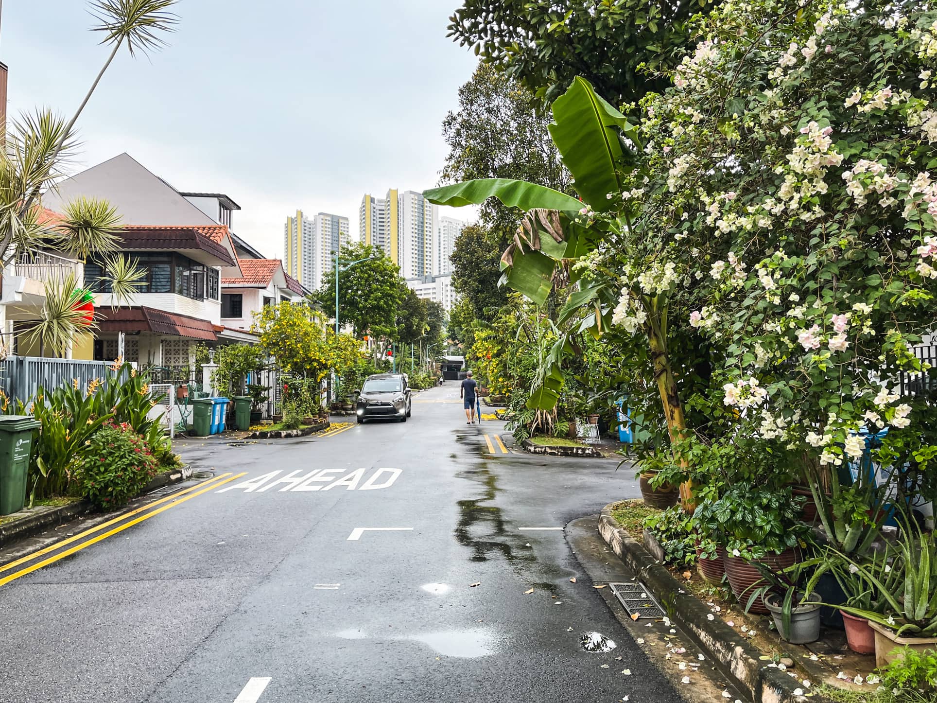 jalan mas kuning road