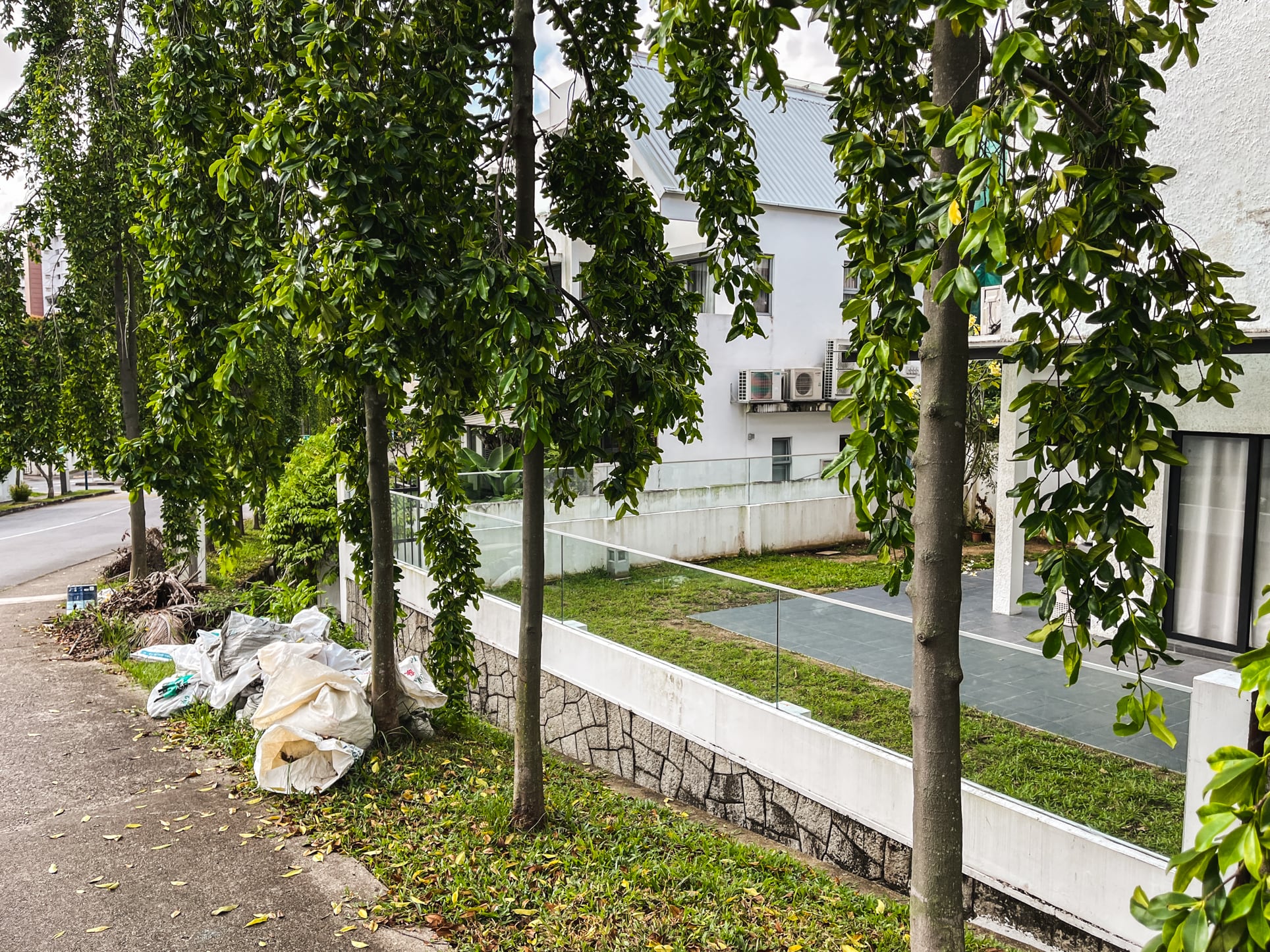 li hwan landed estate trees